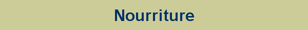Nourriture
